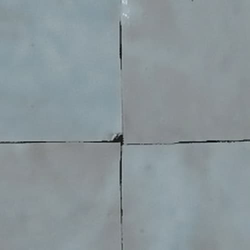Souris — azulejo de zellige, Fer & Pierre